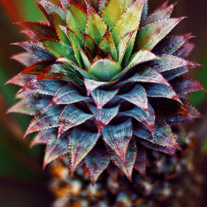 avantage_creativite